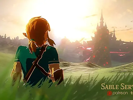 Zelda BOTW - Princess and the Moblins (with Sound)
