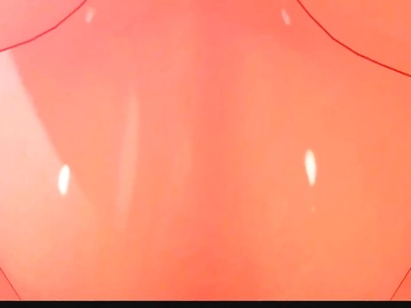 Vivian gets instantly Impregnated by Huge Cumshot - Zenless zone zero