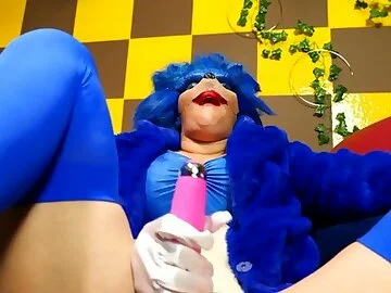 SONIC THE VADGEHOG