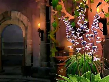 Watch stone sorceress 5