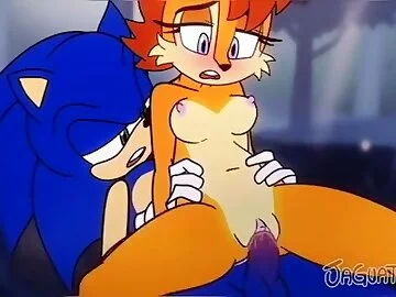 Sonic x Sally Cowgirl