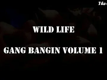 Gang Bangin Volume 1 - Wild Life