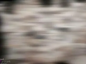 Maid to Facefuck - Lordaardvark