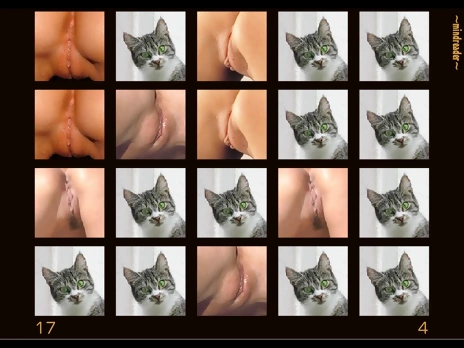 Pussy-cats