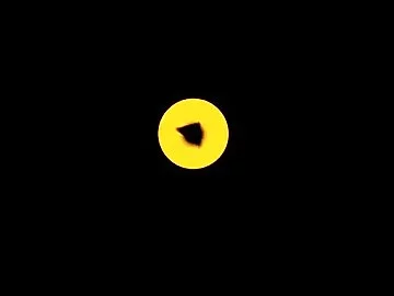 CHICA SERVES DICK IN THE CAFE HOTTEST FNAF HENTAI ANIMATION 60FPS